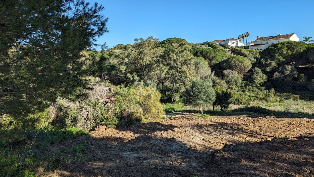 Terreno a Sotogrande, San Roque, Andalusia 2 - 17568377