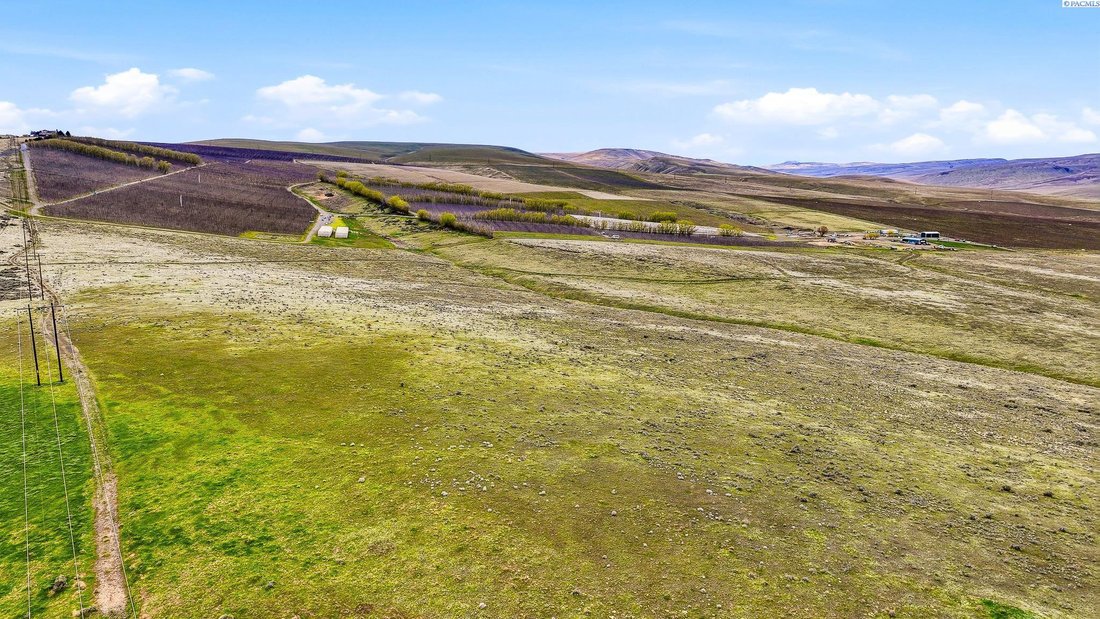 Farm Ranch in Sunnyside, Washington, United States 3 - 17671776