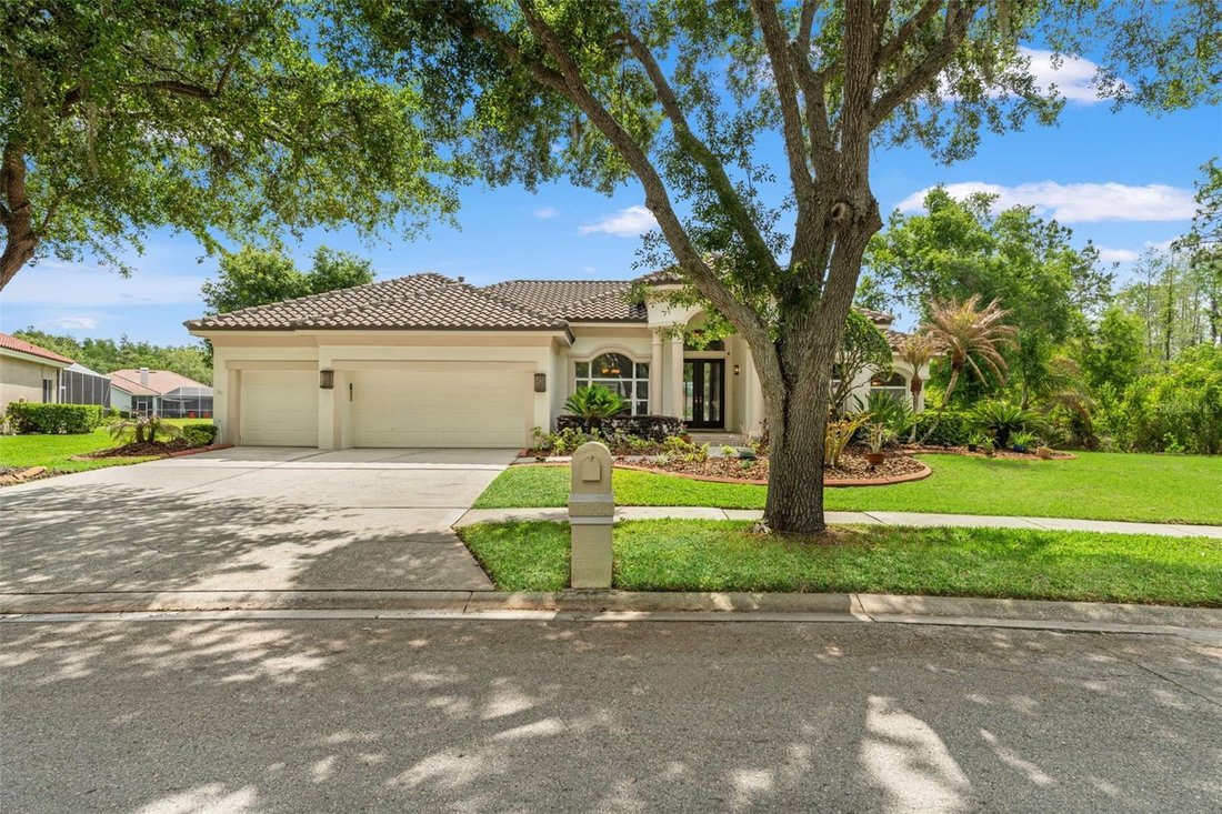 House in Tampa, Florida, United States 4 - 17669844