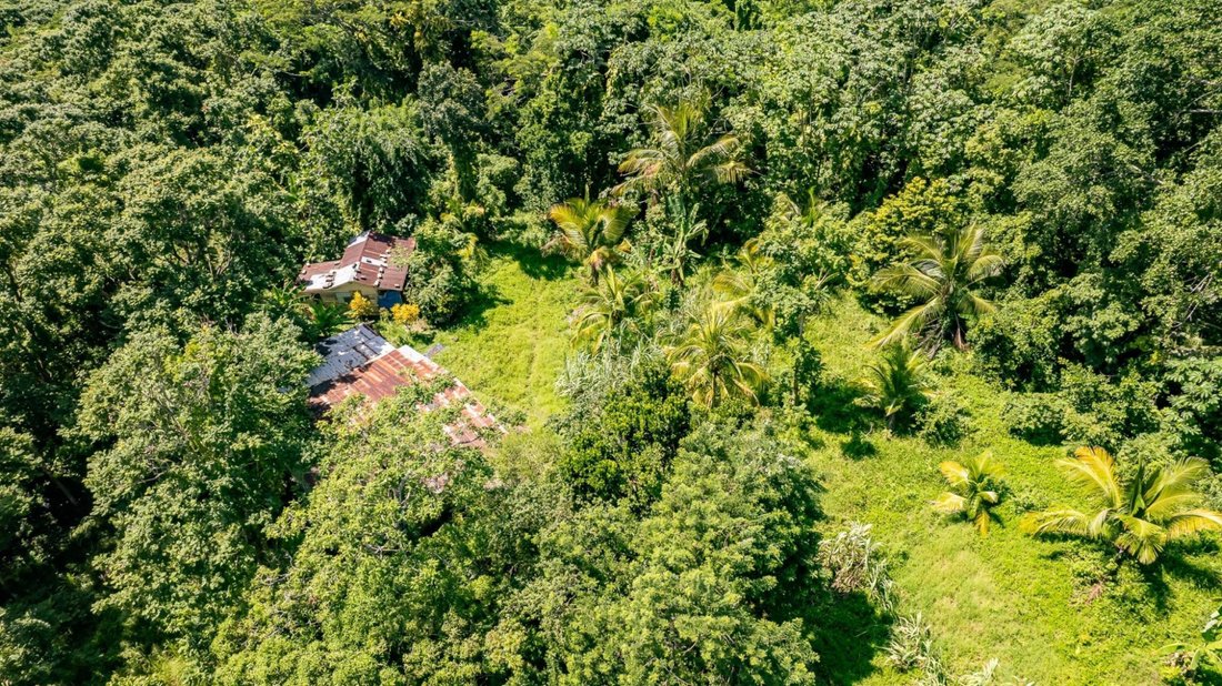Land in Salt Gut, St. Mary Parish, Jamaica 2 - 17671326