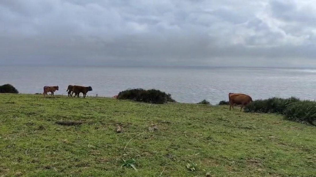 Land in Tarifa, Andalusia, Spain 2 - 17670530