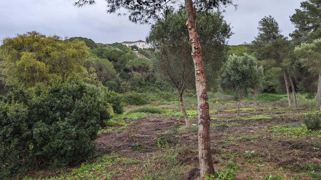 Terreno a Sotogrande, San Roque, Andalusia 5 - 17568377
