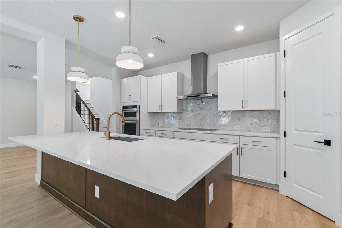 House in Tampa, Florida, United States 4 - 17399481