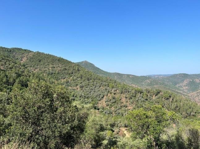 Land in Cordoba, Andalusia, Spain 3 - 13254529
