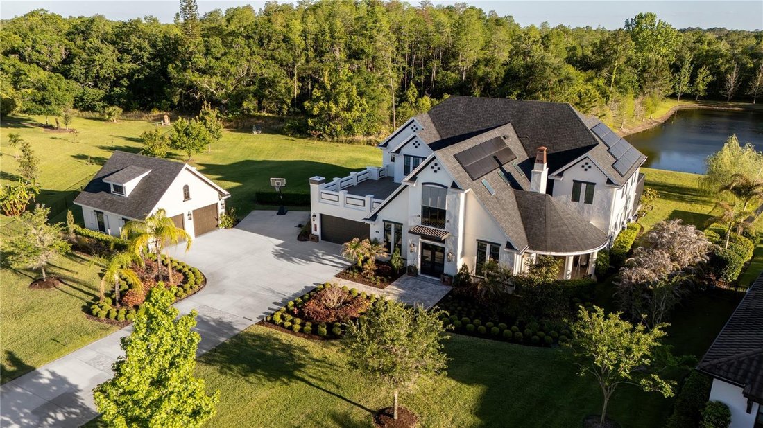 House in Odessa, Florida, United States 5 - 17676252