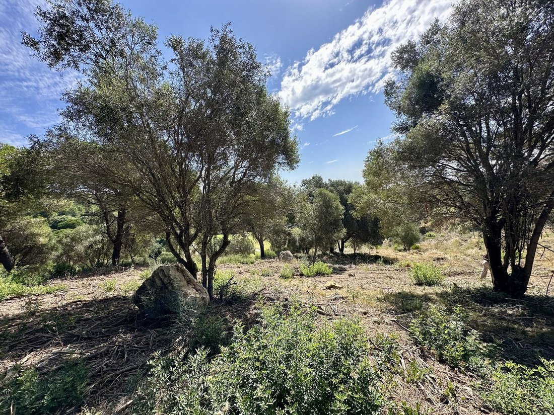 Terreno a Sotogrande, San Roque, Andalusia 3 - 17563490