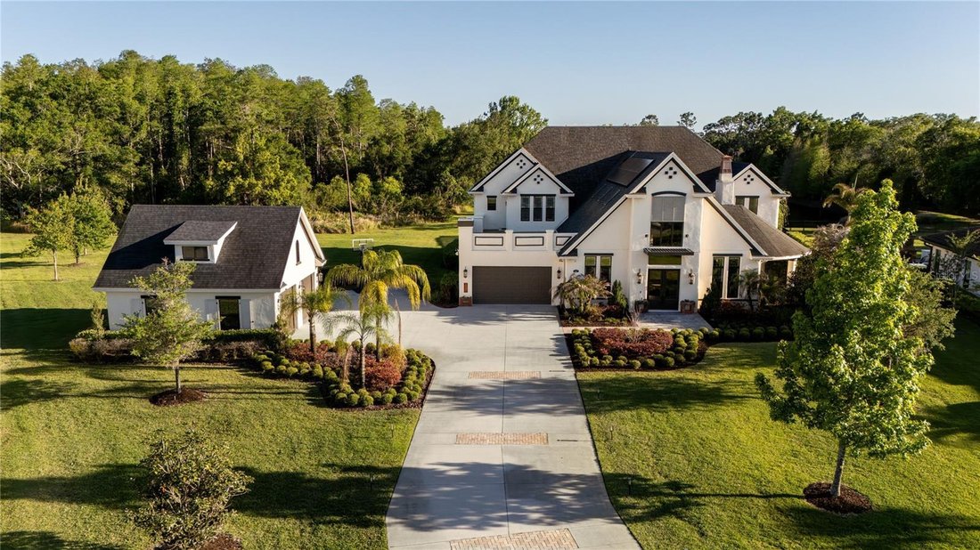 House in Odessa, Florida, United States 4 - 17676252
