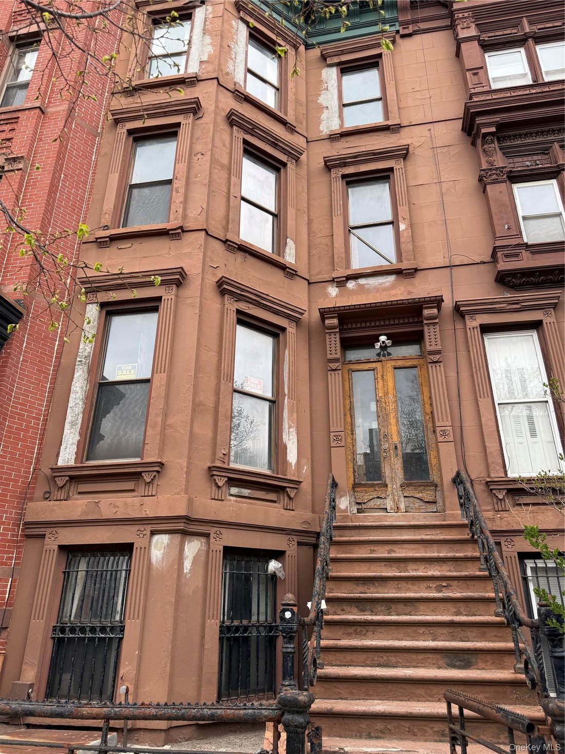 New York, New York, United States 1 - 17672438