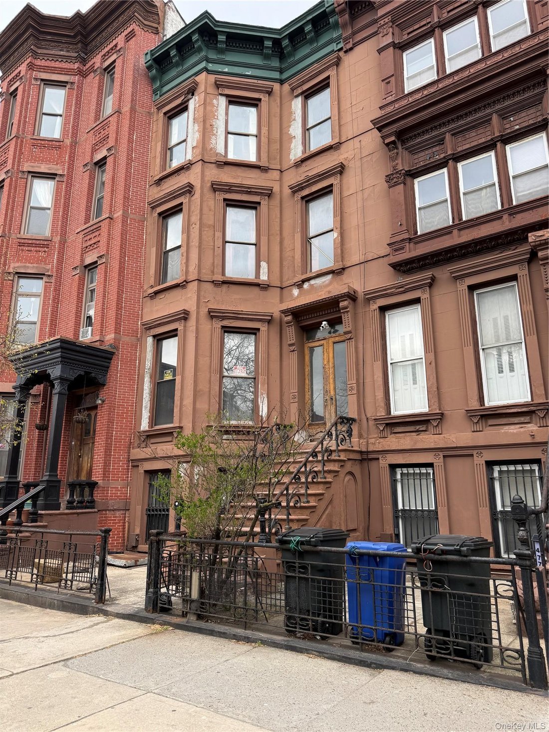 New York, New York, United States 4 - 17672438