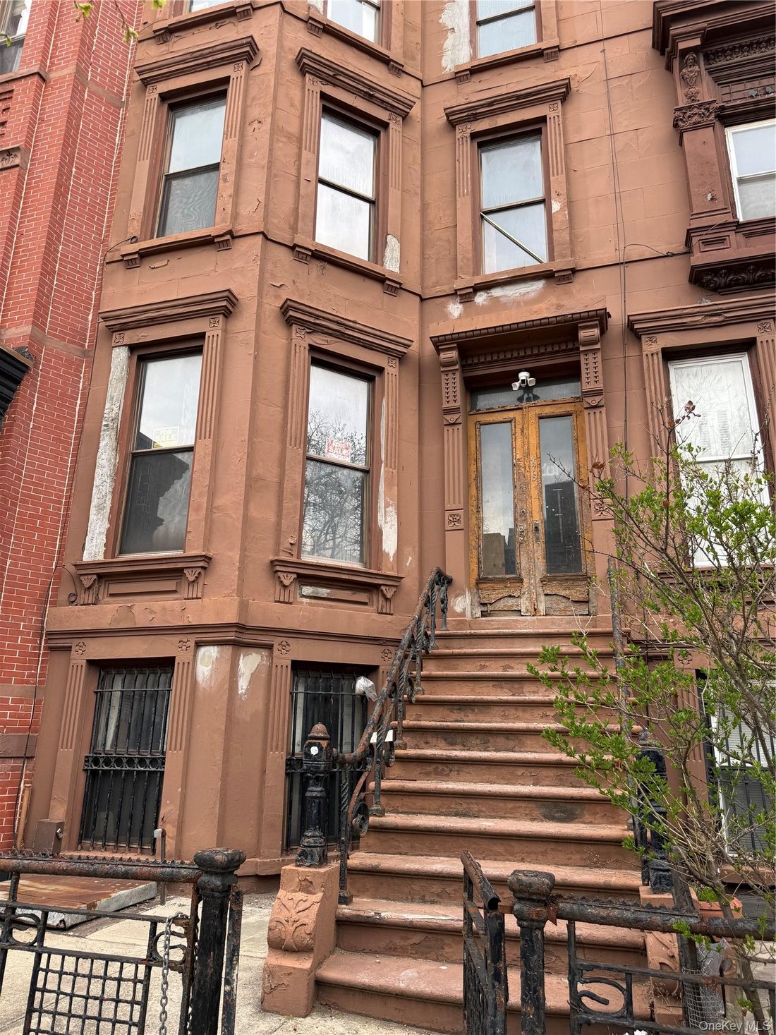 New York, New York, United States 2 - 17672438