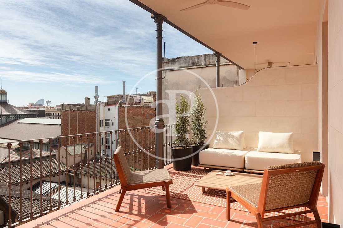 Penthouse in Ciutat Vella, Barcelona, Spain 4 - 15447684