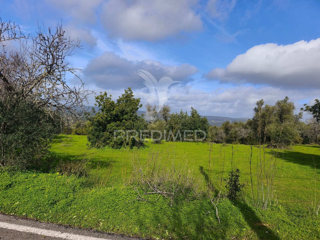 Land in Paderne, Algarve, Portugal 3 - 17233662