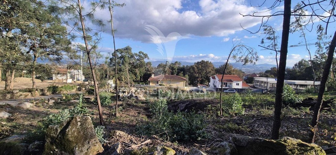 Land in Turiz, Braga, Portugal 2 - 16671618