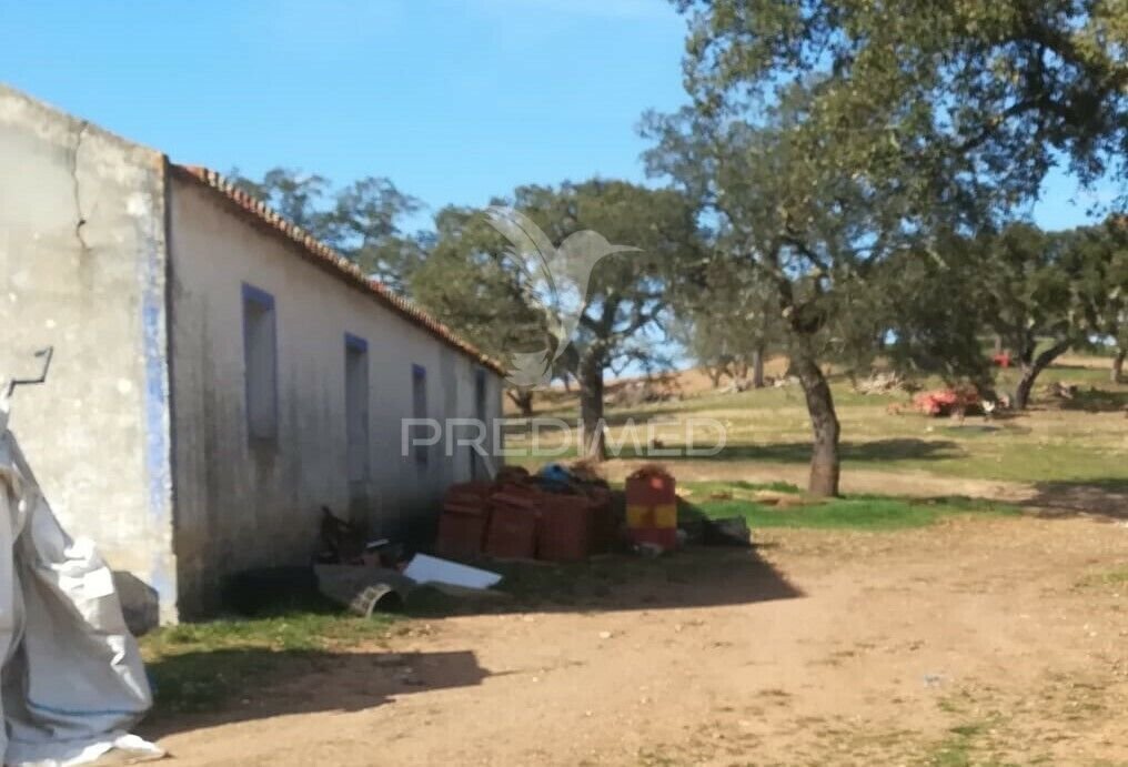 Farm Ranch in Santiago do Cacem, Santa Cruz e Sao Bartolomeu da Serra, Setubal, Portugal 4 - 14654701