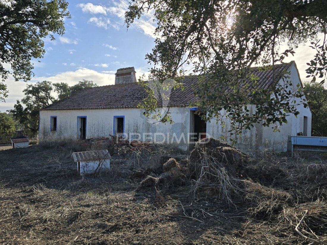 Farm Ranch in Santiago do Cacem, Santa Cruz e Sao Bartolomeu da Serra, Setubal, Portugal 3 - 14654701