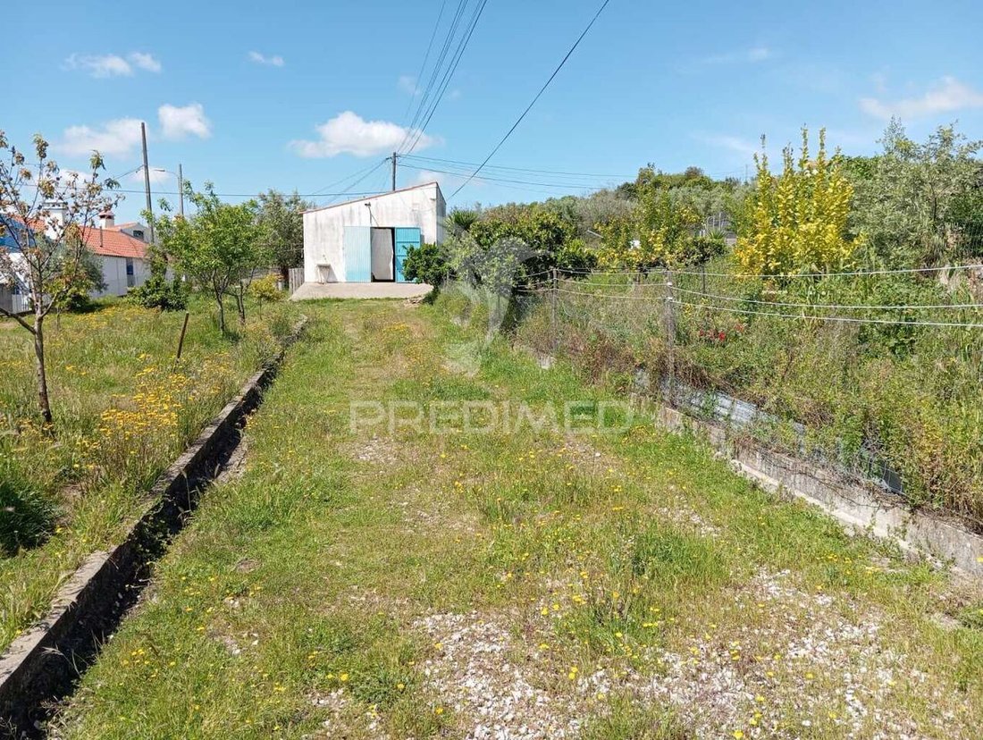 Land in Urra, Portalegre District, Portugal 4 - 15658462