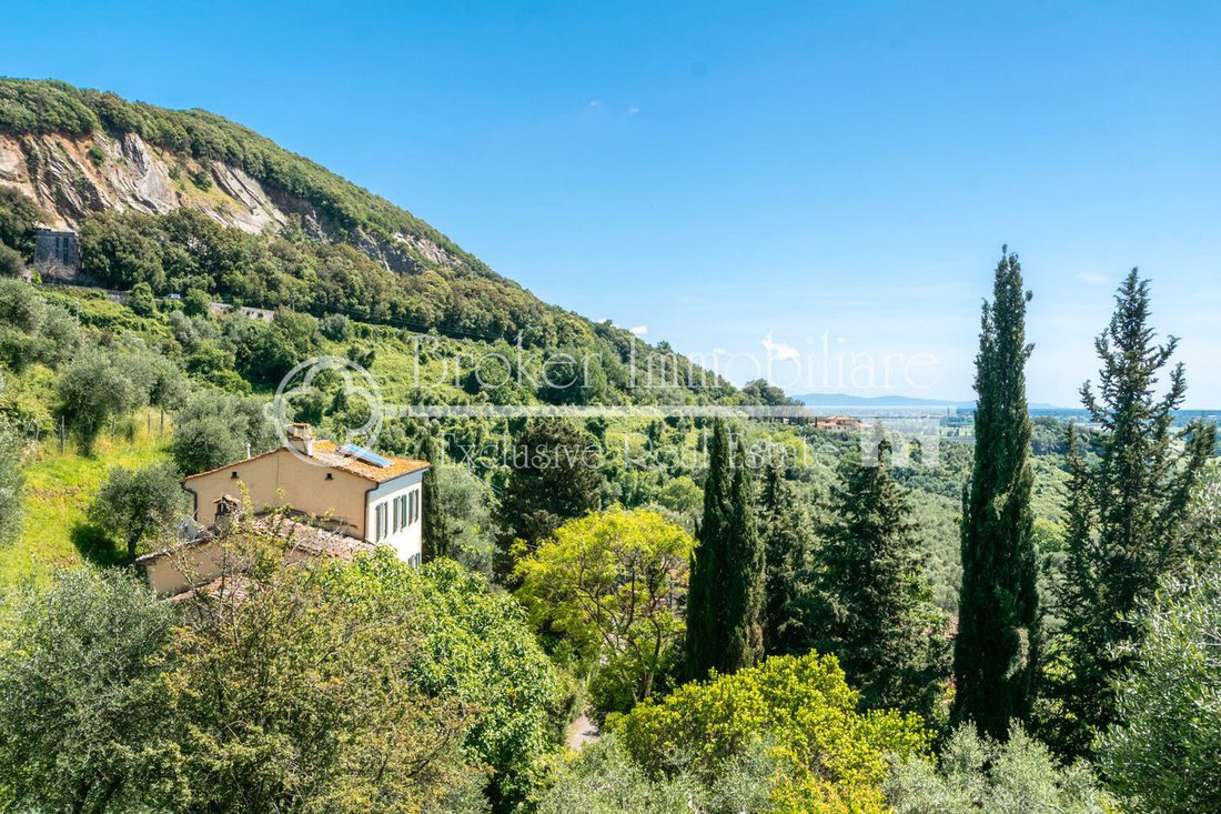 Villa in Massaciuccoli, Massarosa, Tuscany 5 - 11439830