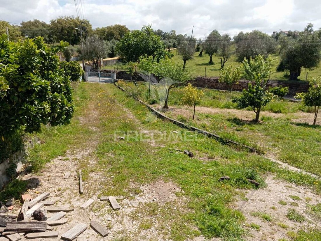 Land in Urra, Portalegre District, Portugal 2 - 15658462