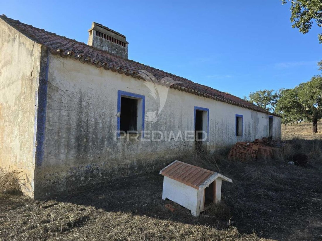 Farm Ranch in Santiago do Cacem, Santa Cruz e Sao Bartolomeu da Serra, Setubal, Portugal 2 - 14654701