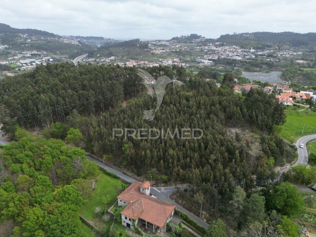 Land in Polvoreira, Braga, Portugal 3 - 12862577