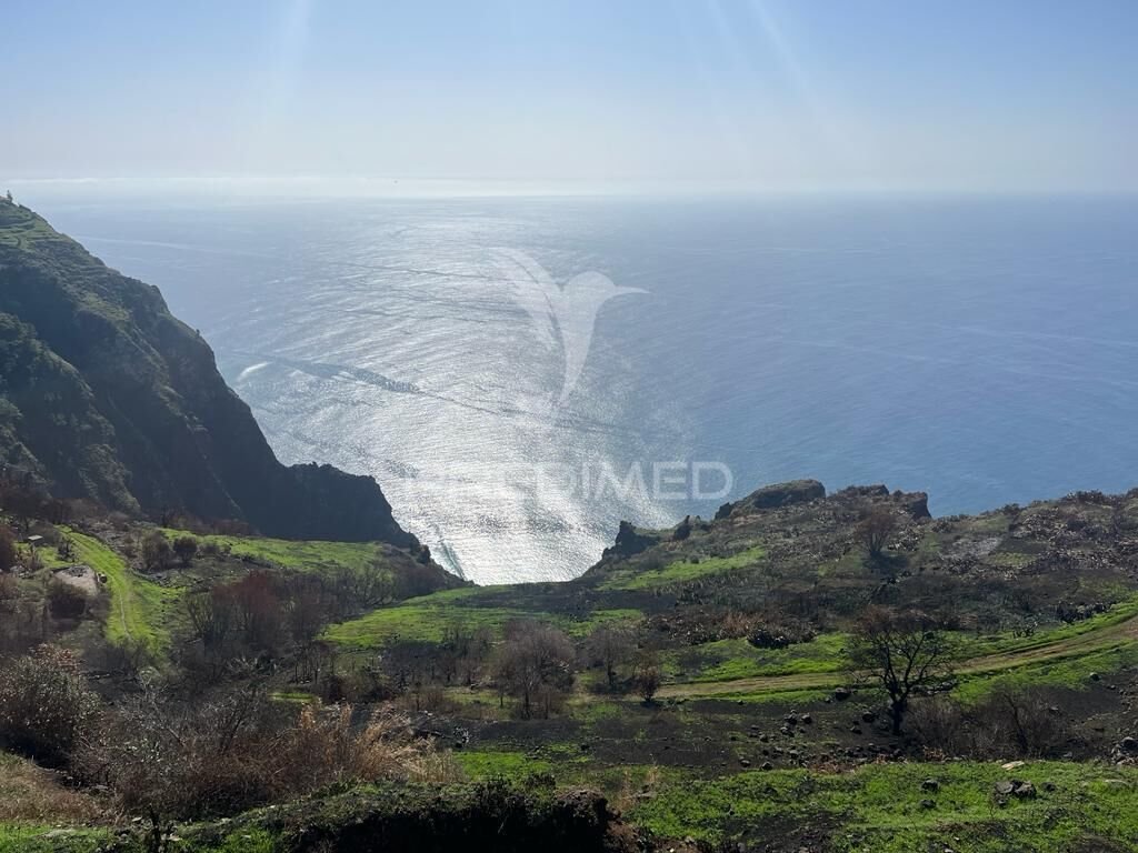 Land in Faja da Ovelha, Madeira, Portugal 1 - 12894891