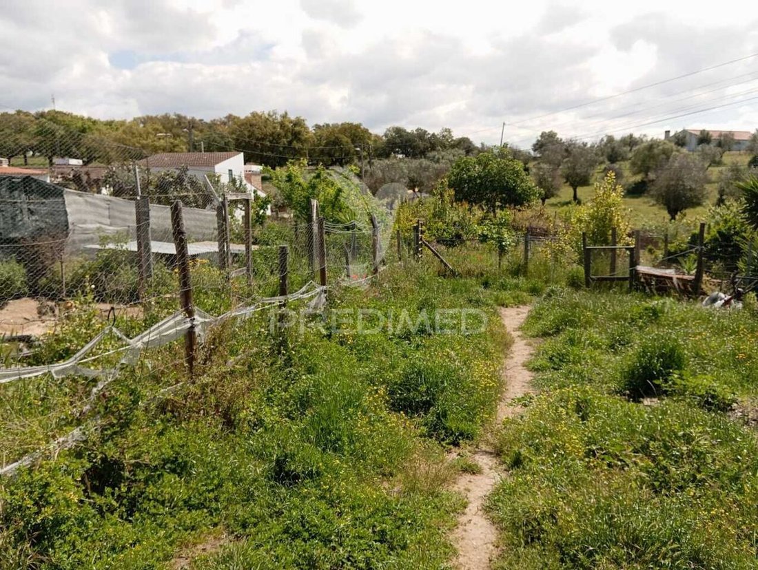 Land in Urra, Portalegre District, Portugal 5 - 15658462