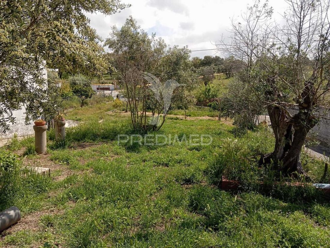 Land in Urra, Portalegre District, Portugal 3 - 15658462
