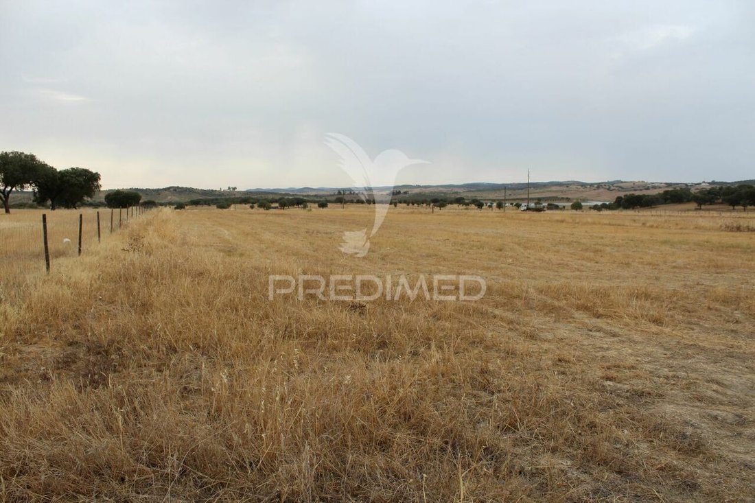 Land in Alandroal (Nossa Senhora da Conceicao), Sao Bras dos Matos (Mina do Bugalho) e Juromenha (Nossa Senhora do Loreto), Évora District, Portugal 4 - 14758419