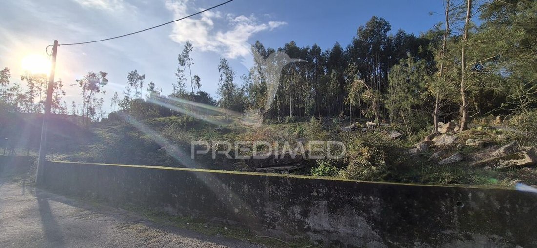Land in Turiz, Braga, Portugal 1 - 16671618