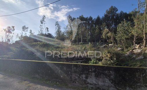 Land in Turiz, Braga, Portugal 1