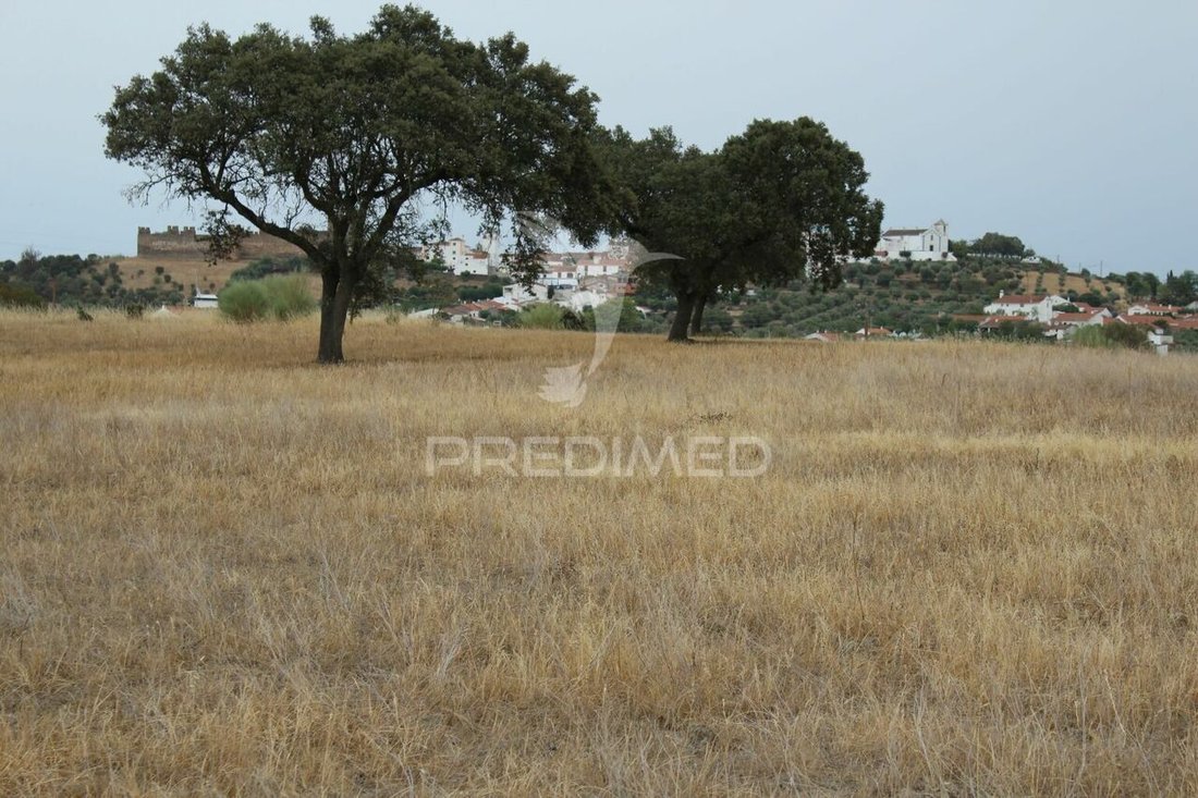 Land in Alandroal (Nossa Senhora da Conceicao), Sao Bras dos Matos (Mina do Bugalho) e Juromenha (Nossa Senhora do Loreto), Évora District, Portugal 1 - 14758419