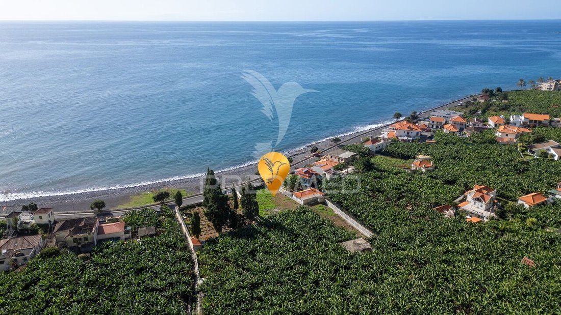 Land in Madalena do Mar, Madeira, Portugal 4 - 16930807