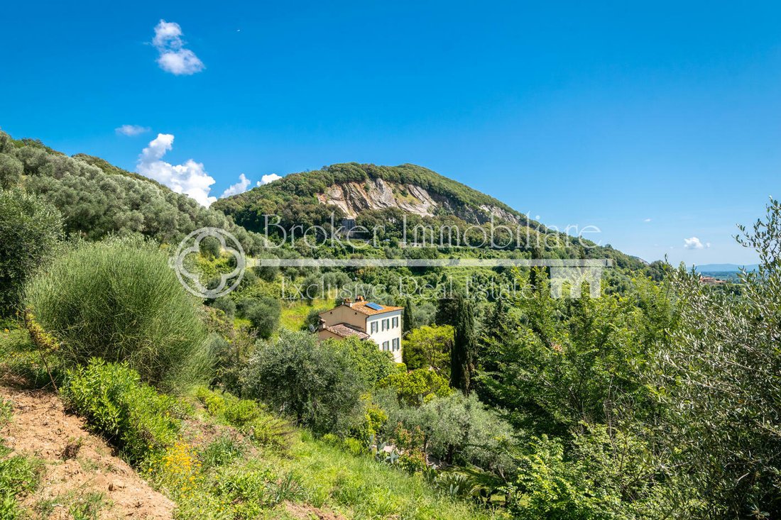 Villa in Massaciuccoli, Massarosa, Tuscany 2 - 11439830