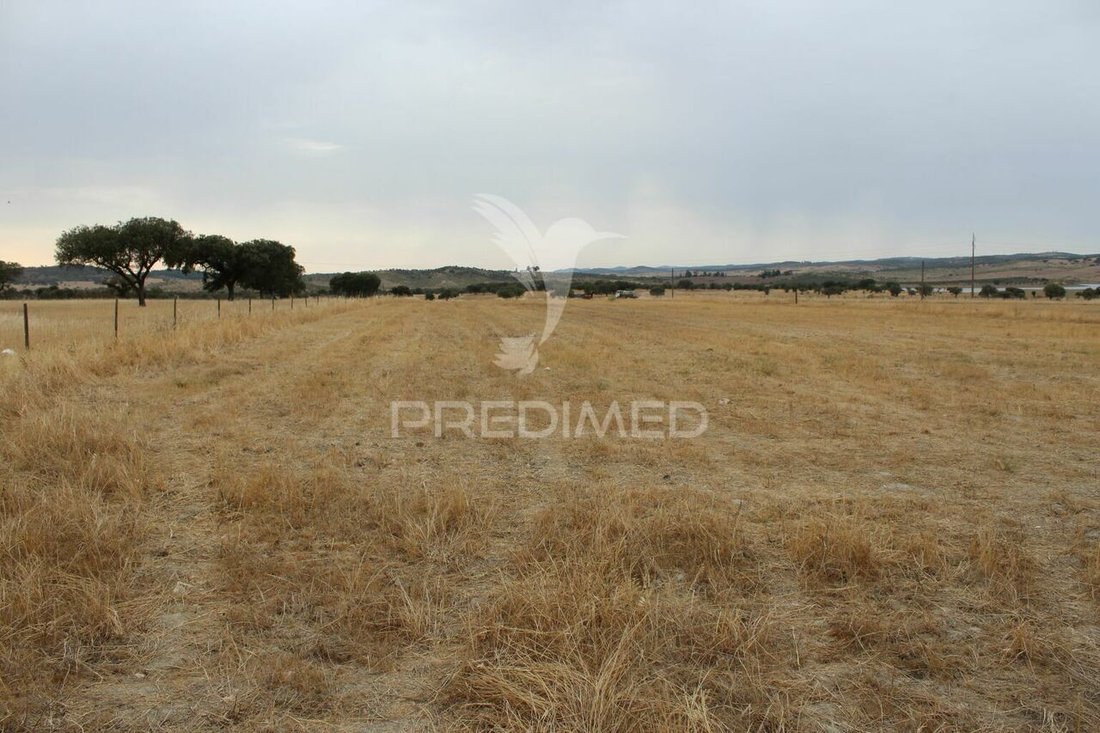 Land in Alandroal (Nossa Senhora da Conceicao), Sao Bras dos Matos (Mina do Bugalho) e Juromenha (Nossa Senhora do Loreto), Évora District, Portugal 5 - 14758419