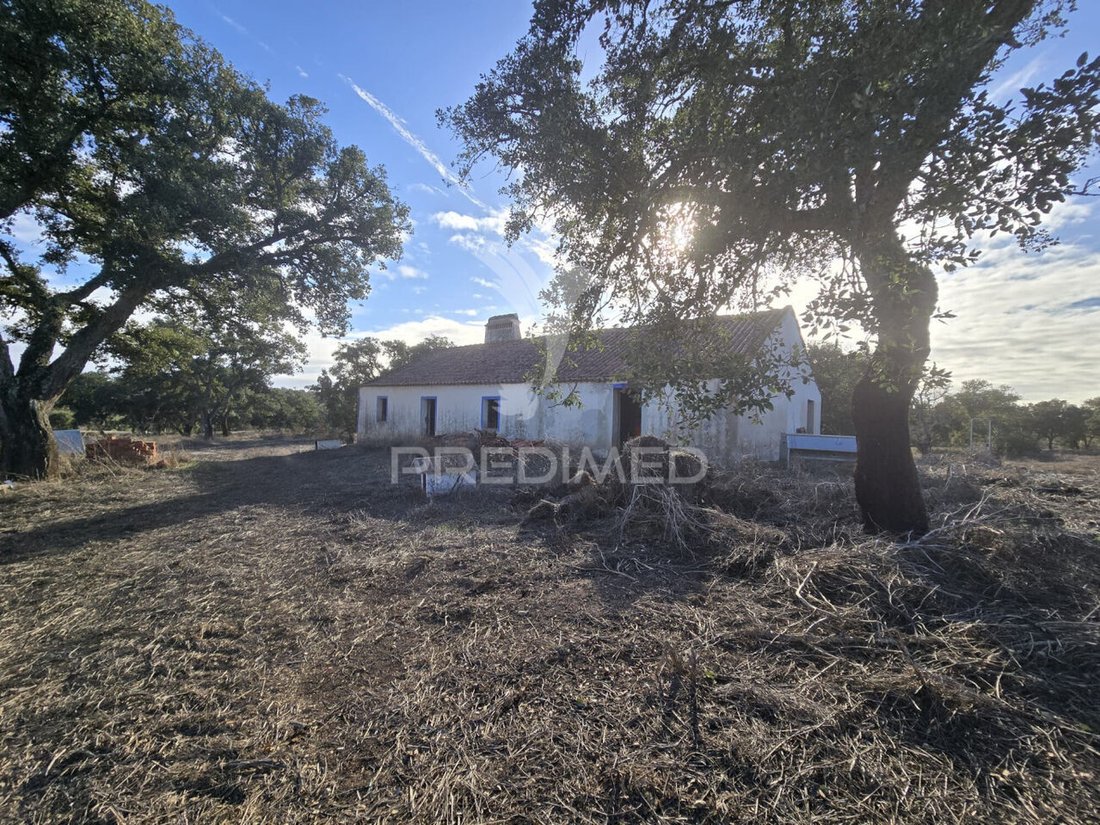 Farm Ranch in Santiago do Cacem, Santa Cruz e Sao Bartolomeu da Serra, Setubal, Portugal 1 - 14654701
