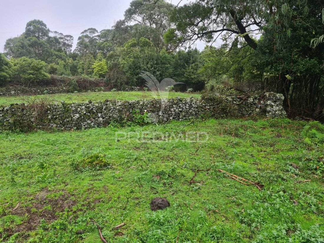 Land in Santa Maria Maior, Lisbon, Portugal 1 - 13872413