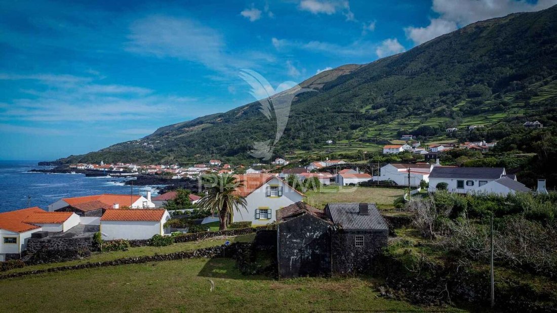 House in Santo Amaro, Azores, Portugal 5 - 16457905
