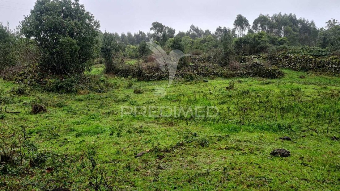 Land in Santa Maria Maior, Lisbon, Portugal 1 - 13872415
