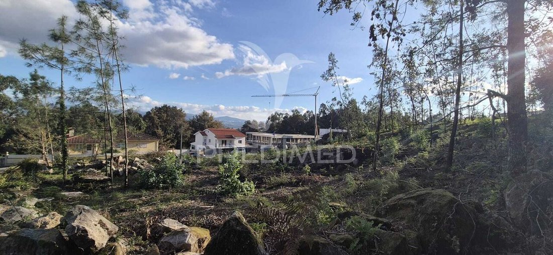 Land in Turiz, Braga, Portugal 5 - 16671618