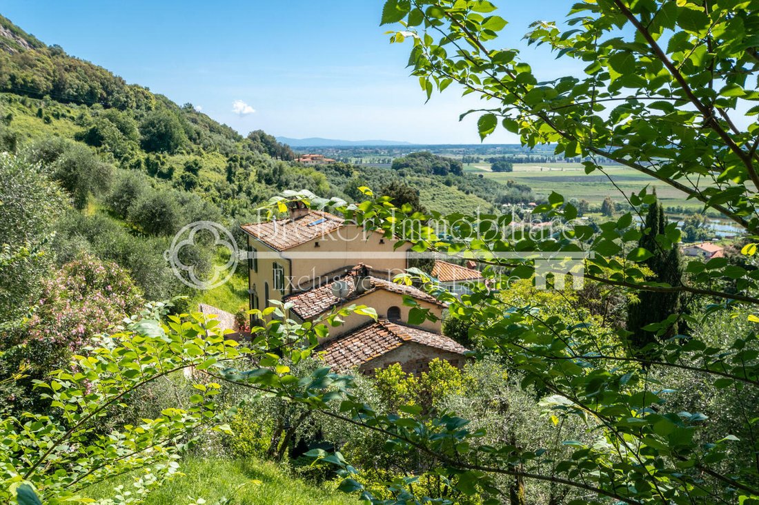 Villa in Massaciuccoli, Massarosa, Tuscany 4 - 11439830