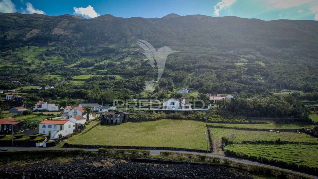 House in Santo Amaro, Azores, Portugal 3 - 16457905