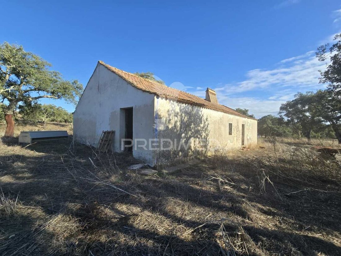 Farm Ranch in Santiago do Cacem, Santa Cruz e Sao Bartolomeu da Serra, Setubal, Portugal 5 - 14654701