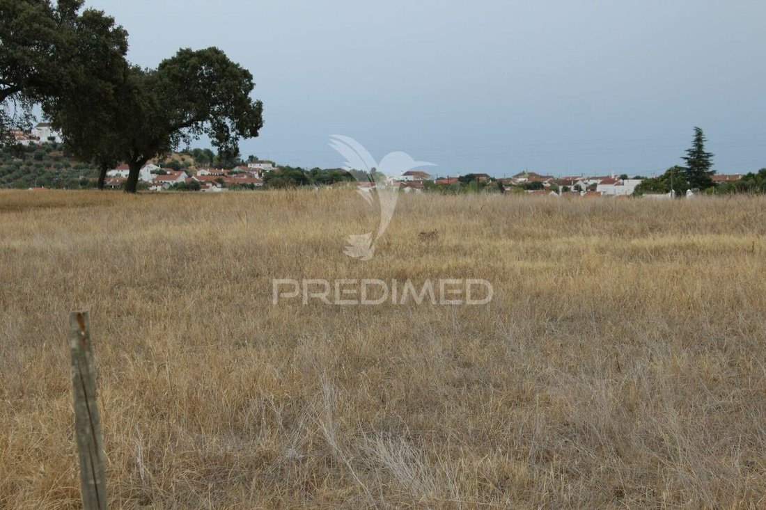 Land in Alandroal (Nossa Senhora da Conceicao), Sao Bras dos Matos (Mina do Bugalho) e Juromenha (Nossa Senhora do Loreto), Évora District, Portugal 2 - 14758419