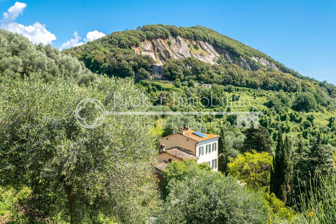 Villa in Massaciuccoli, Massarosa, Tuscany 3 - 11439830