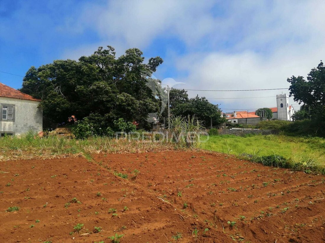 Farm Ranch in Ponta do Pargo, Madeira, Portugal 5 - 17053794