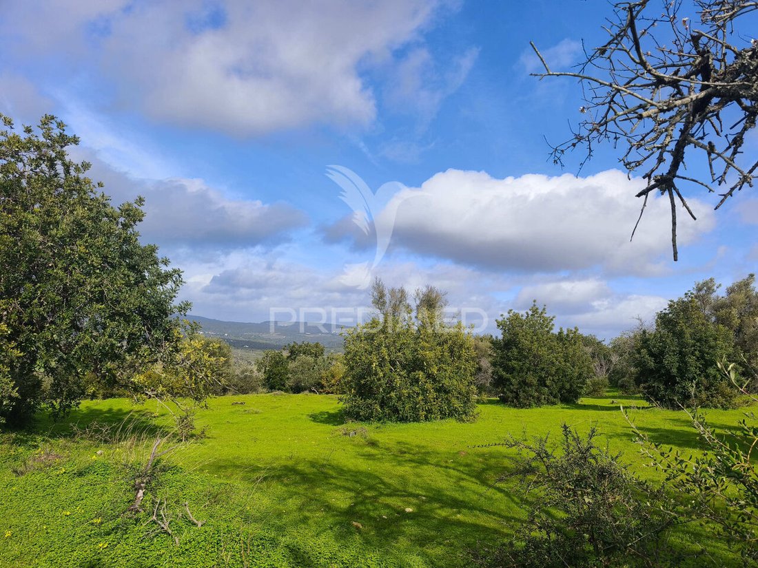Land in Paderne, Algarve, Portugal 5 - 17233662