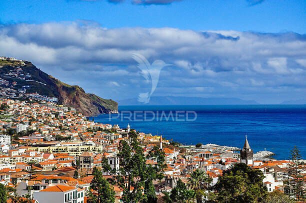 Apartment in Imaculado Coracao de Maria, Madeira, Portugal 2 - 13544607