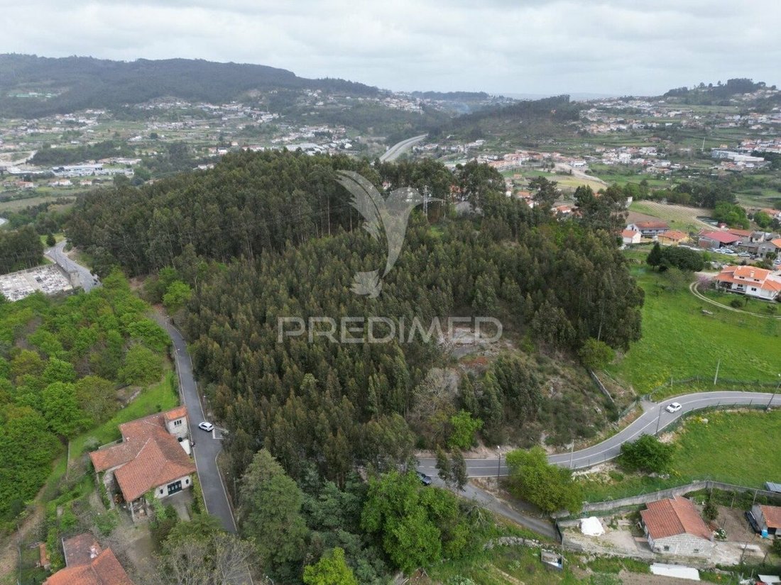 Land in Polvoreira, Braga, Portugal 2 - 12862577