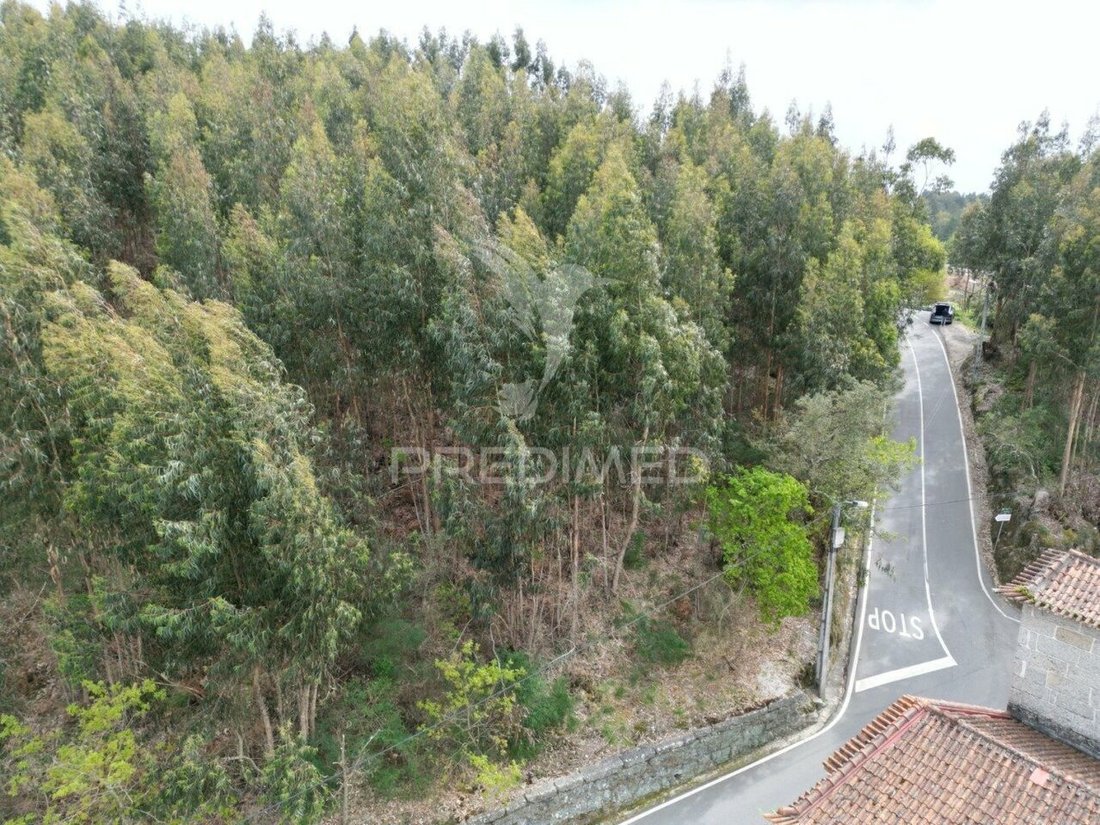 Land in Polvoreira, Braga, Portugal 1 - 12862577