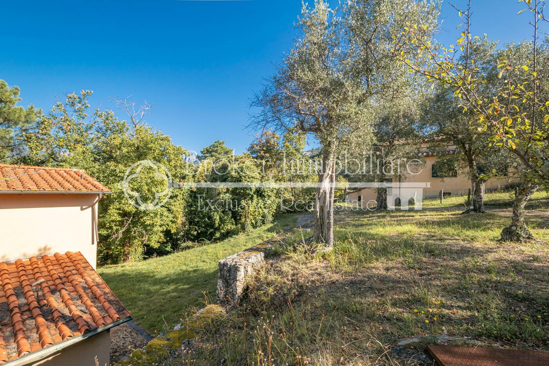 Villa in Pietrasanta, Tuscany, Italy 5 - 13326893